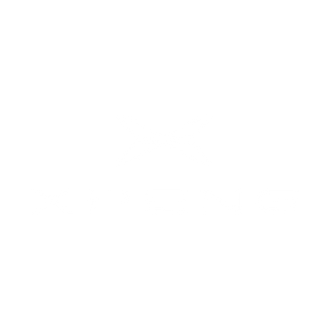 XPENG