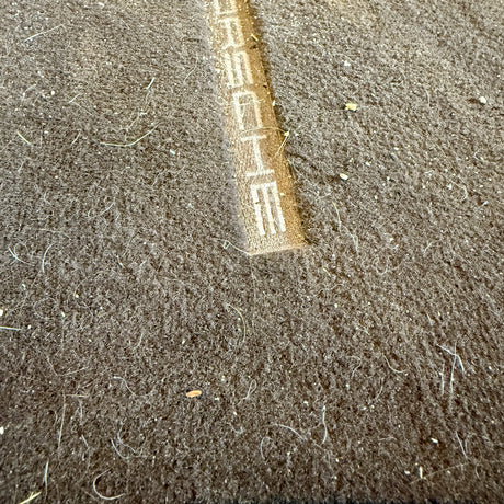 Før billede af møgbeskidt bilmåtte med Porsche logo før TurboClean støvsuger