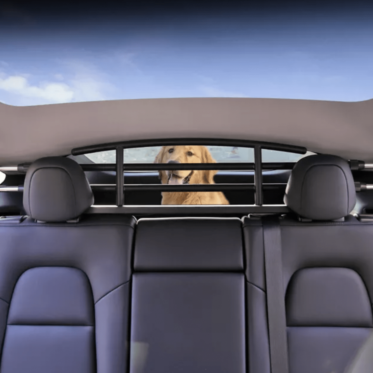 Hundegitter i bagagerummet på en Tesla Model Y med en golden retriever.